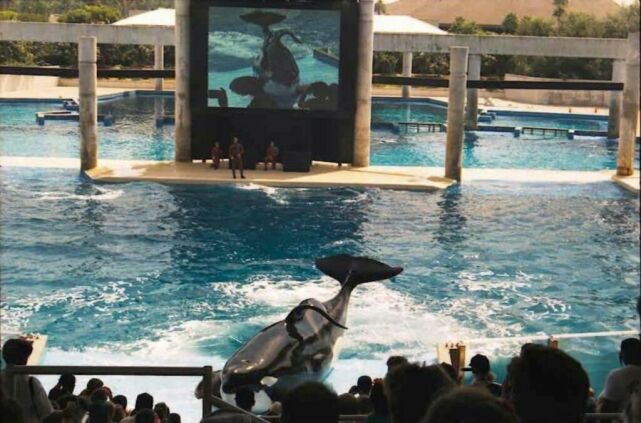 Seaworld Orlando 1990