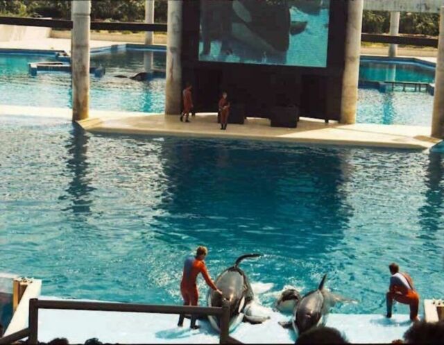 Seaworld Orlando 1990