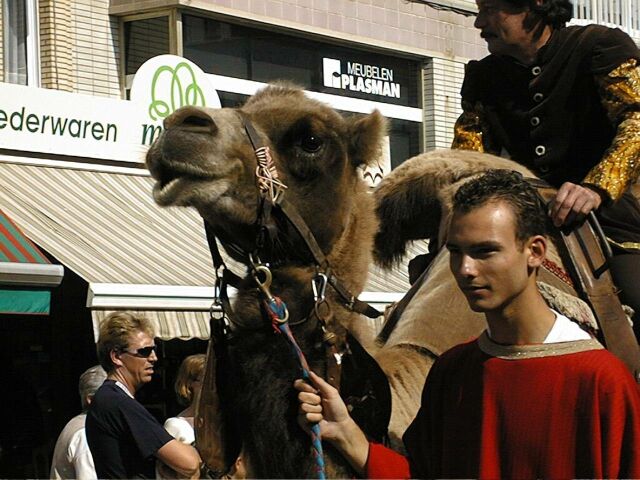 Koksijde - Belgian Coast Summer 2000