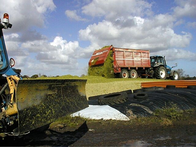 Leugenboomoktober2002