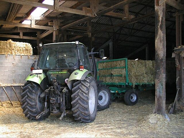 Leugenboomsummertime