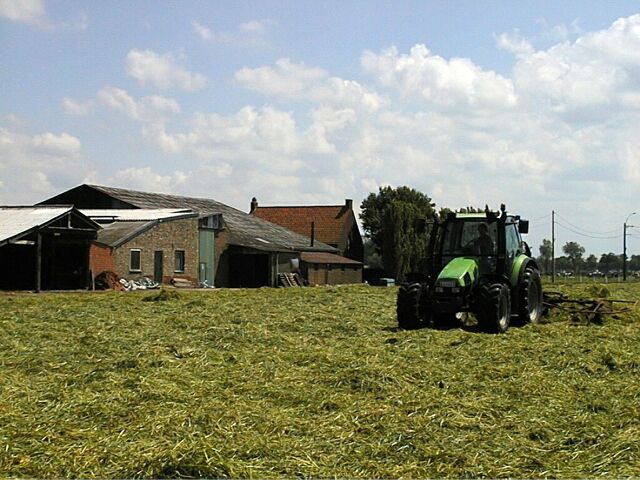 Leugenboomspringtime