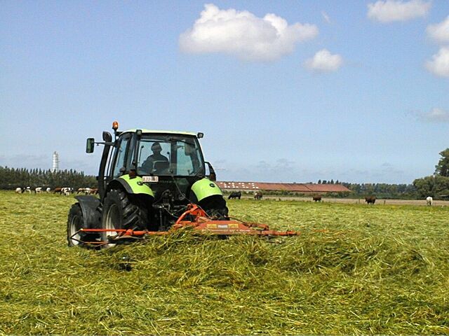 Leugenboomspringtime