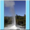 WaiotapuLadyKnoxGeyser