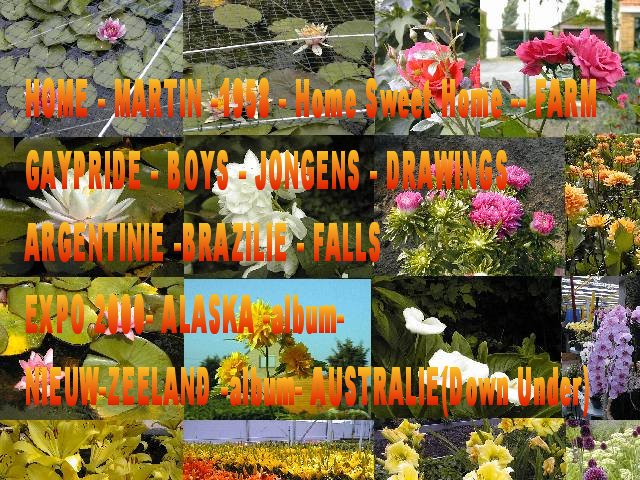 flowers of Flanders and Holland